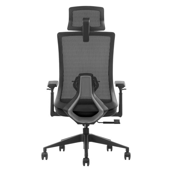 SKILLCHAIRS Ergo Stella SKILLCHAIRS Ergo Stella